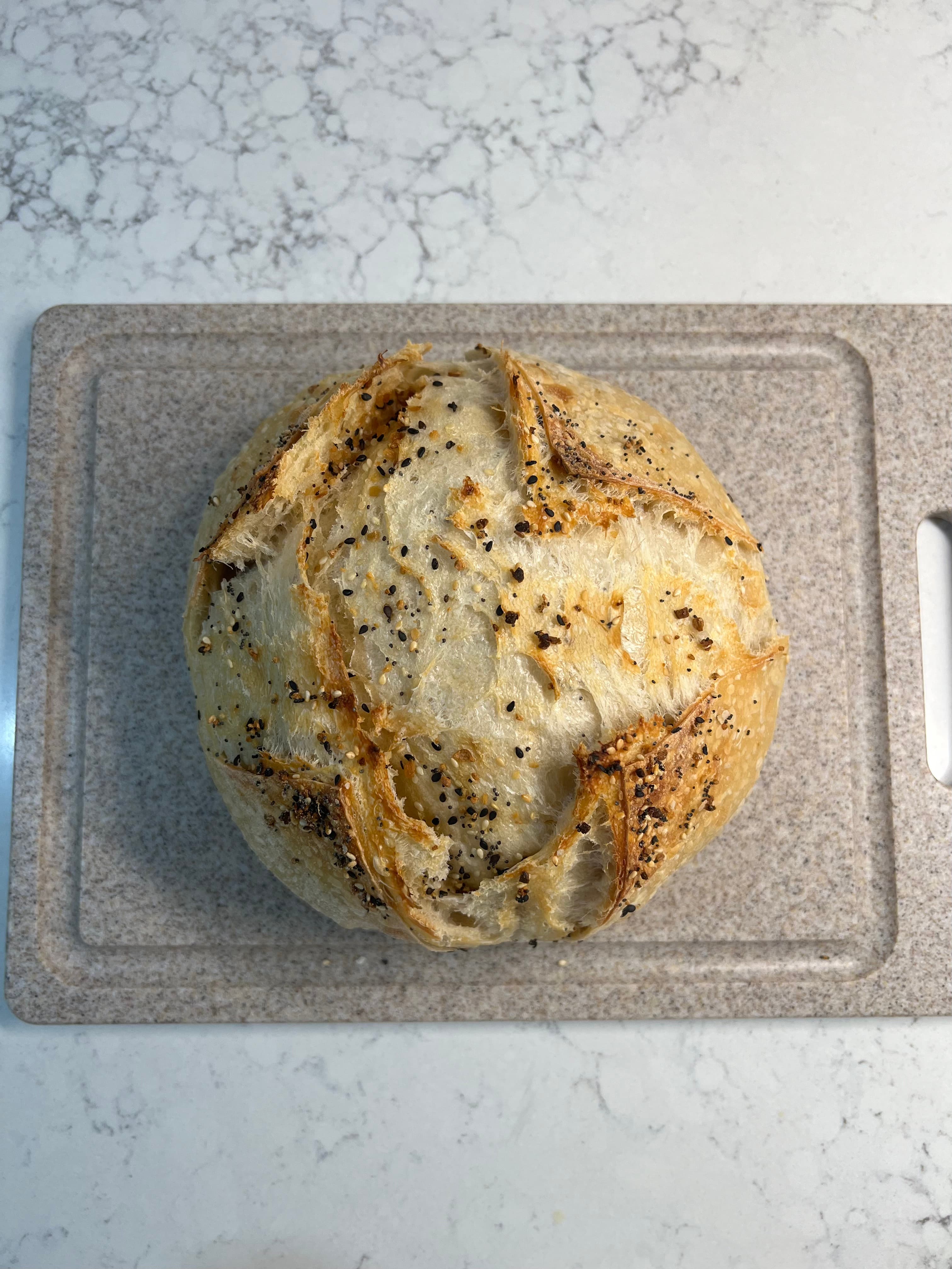 Everything but the Bagel