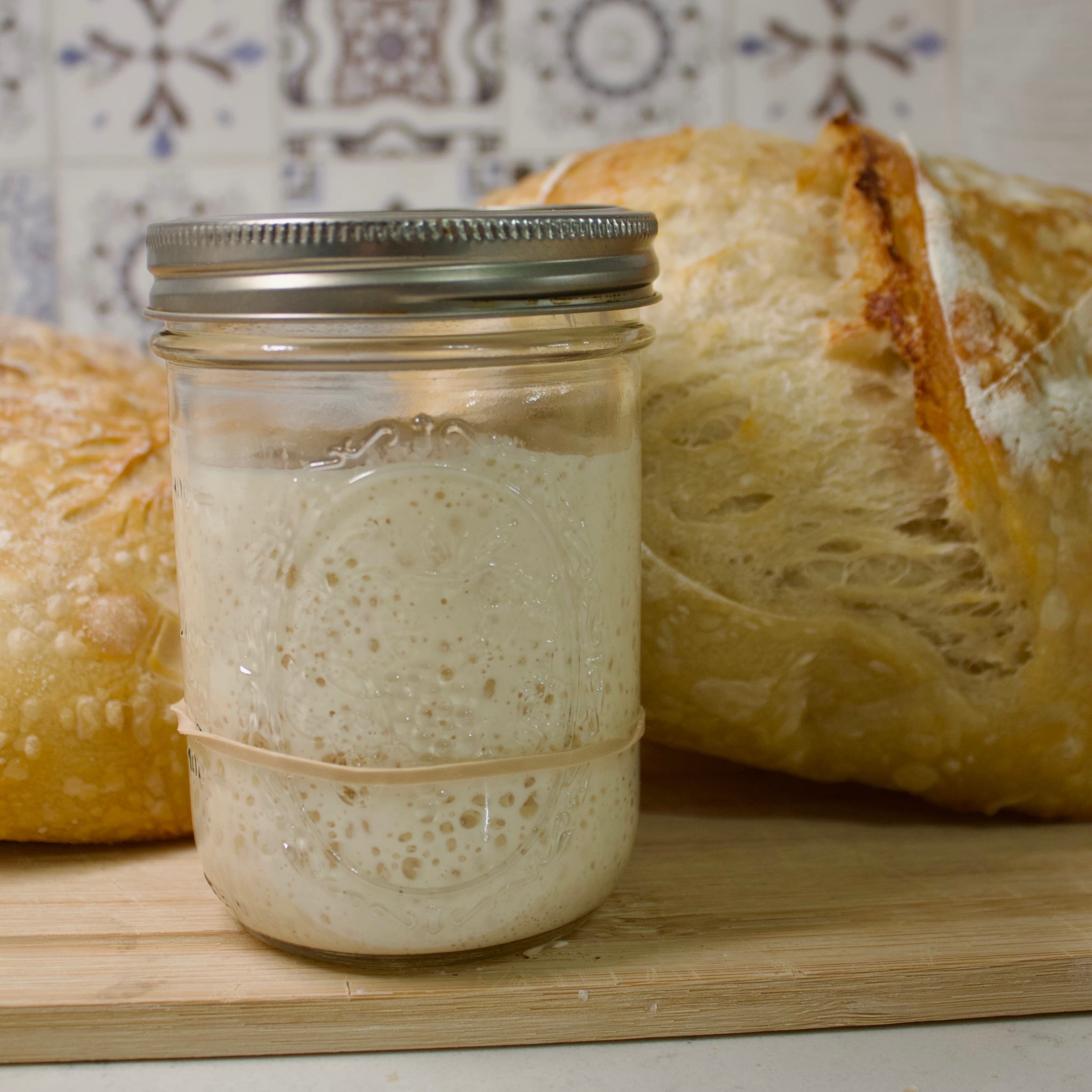Sourdough Starter (without jar)